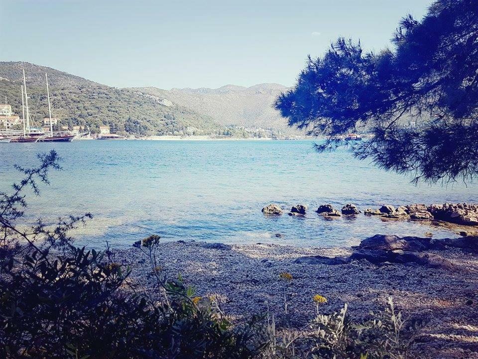 Hanas Dream Places Zaton (Dubrovnik-Neretva) Exterior foto