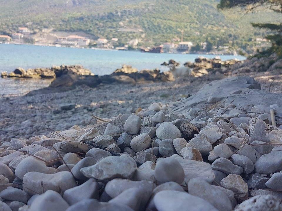 Hanas Dream Places Zaton (Dubrovnik-Neretva) Exterior foto