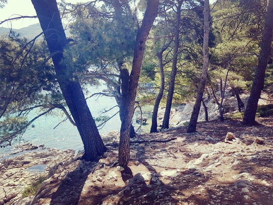 Hanas Dream Places Zaton (Dubrovnik-Neretva) Exterior foto